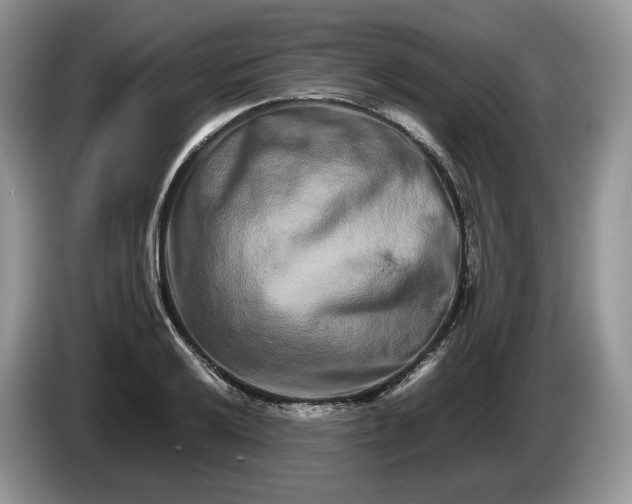 X0000086281032200704122043