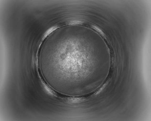 X0000086281034200704122043