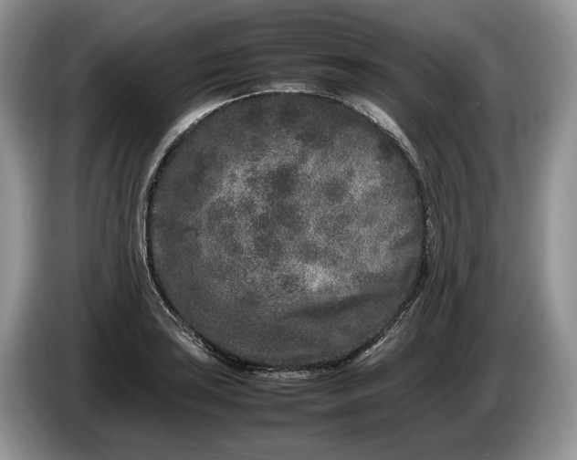 X0000086281035200704122043