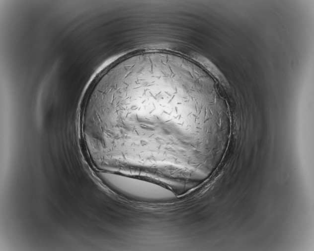 X0000086281036200704122043