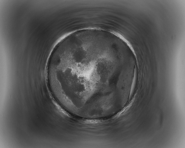 X0000086281037200704122043