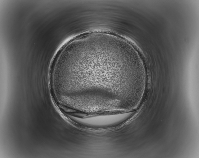 X0000086281038200704122044