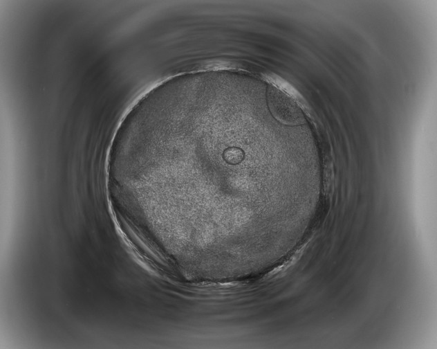 X0000086281039200704122044