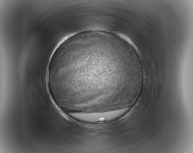 X0000086281040200704122044