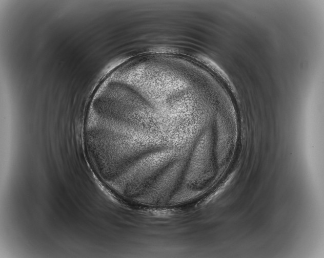 X0000086281041200704122044