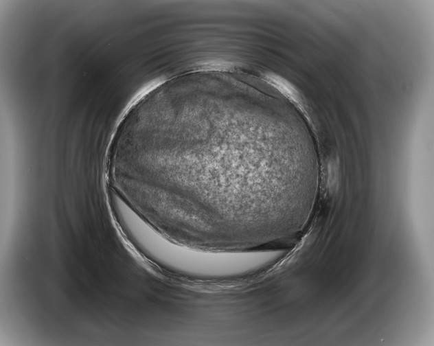 X0000086281042200704122044