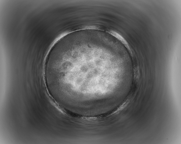 X0000086281043200704122044