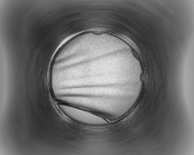 X0000086281044200704122044