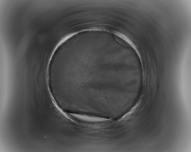 X0000086281045200704122044