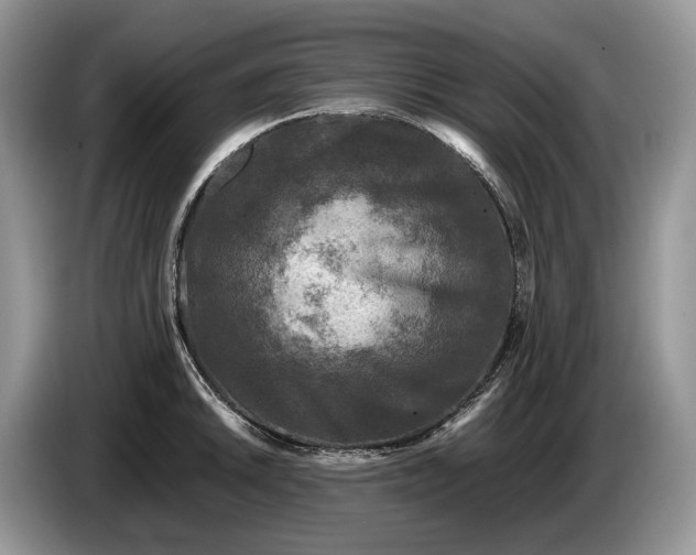 X0000086281046200704122044