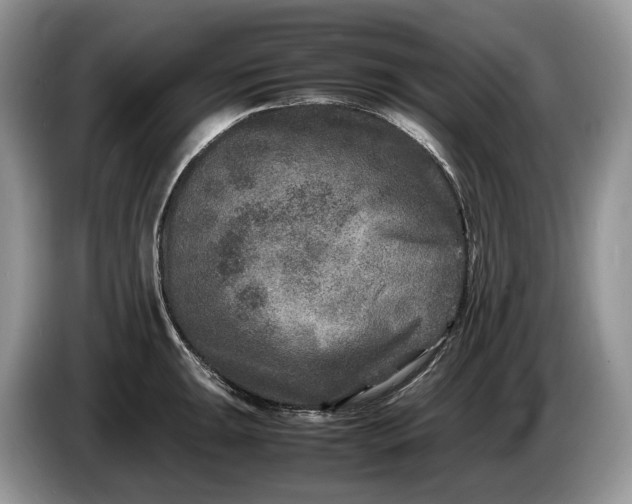 X0000086281047200704122044