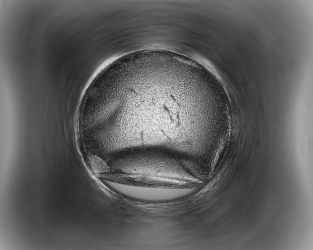 X0000086281048200704122044