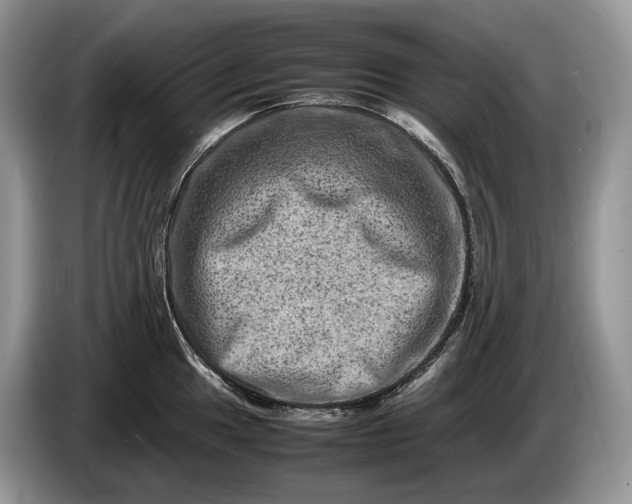 X0000086281049200704122044