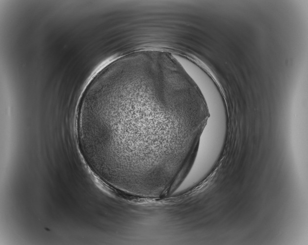 X0000086281050200704122044