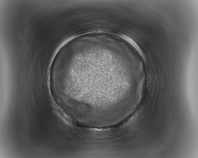 X0000086281051200704122044