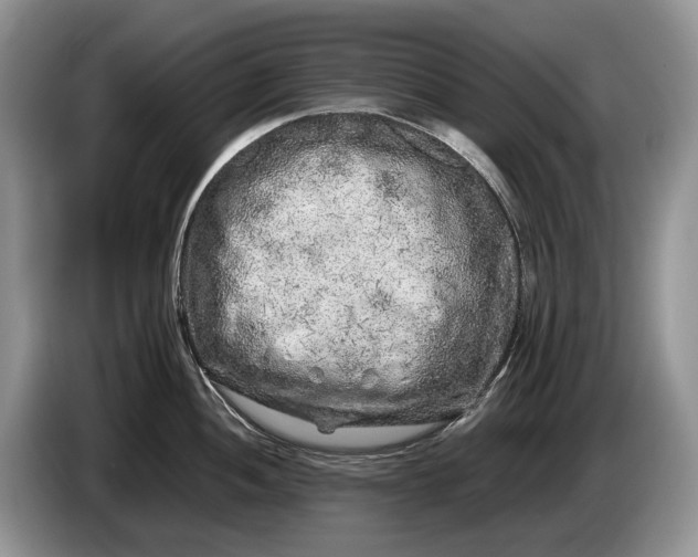 X0000086281052200704122044