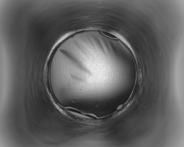 X0000086281053200704122044