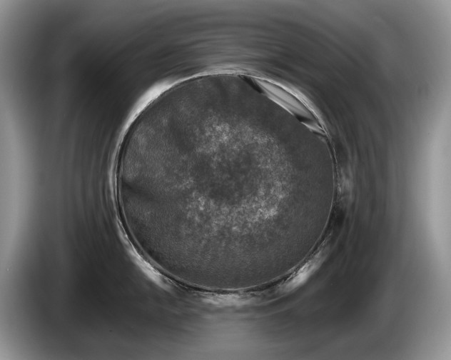 X0000086281054200704122044