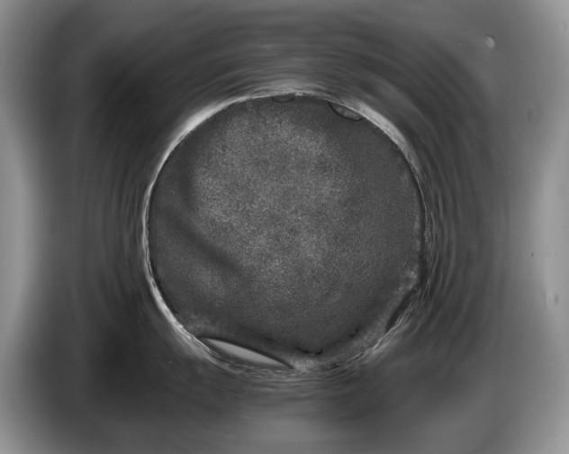 X0000086281055200704122044