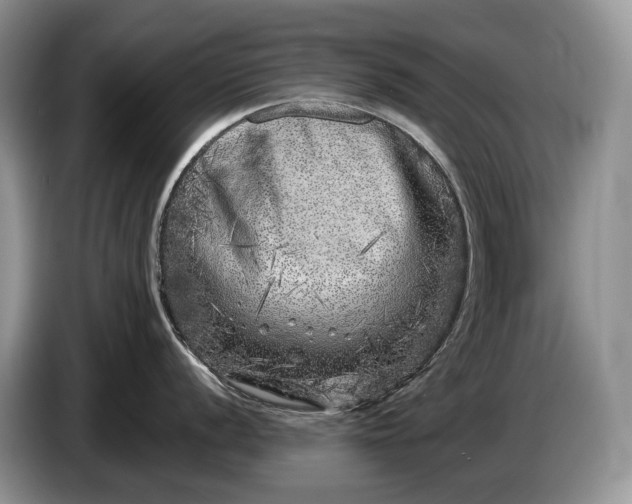 X0000086281056200704122044