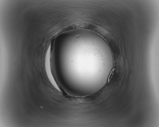 X0000086281058200704122043