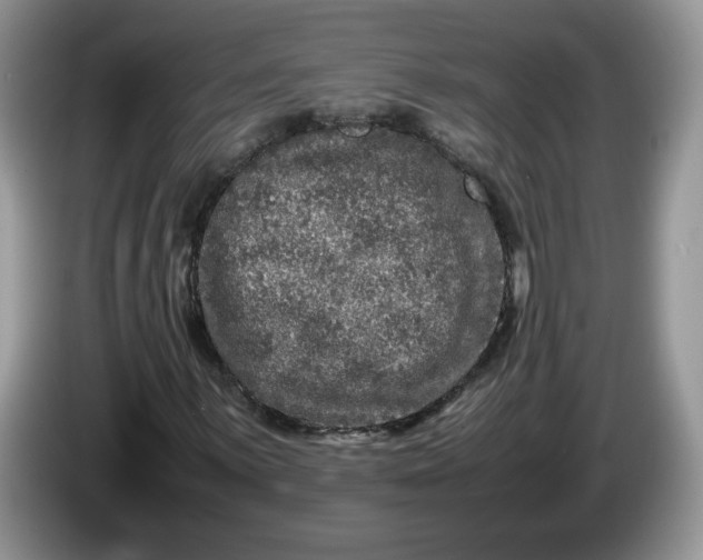 X0000086281059200704122043