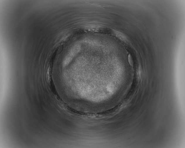 X0000086281060200704122043