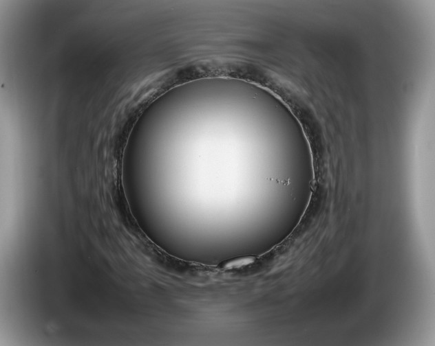 X0000086281061200704122043