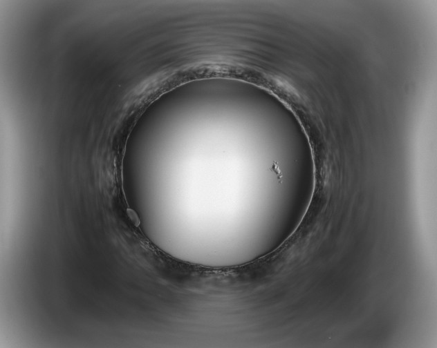 X0000086281062200704122043