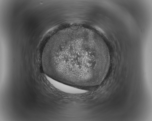 X0000086281063200704122043