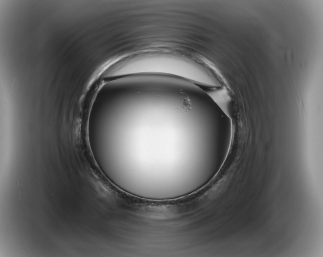 X0000086281066200704122043