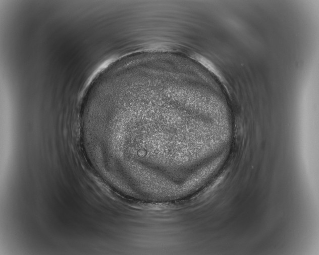 X0000086281067200704122043