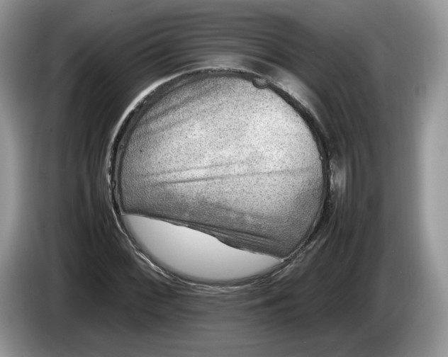 X0000086281068200704122043