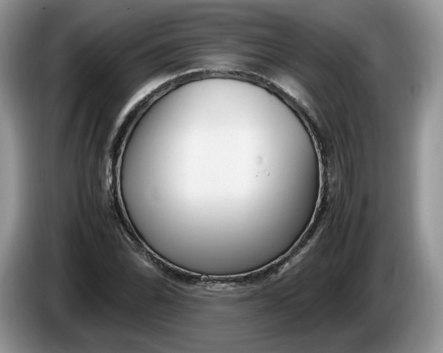 X0000086281070200704122043