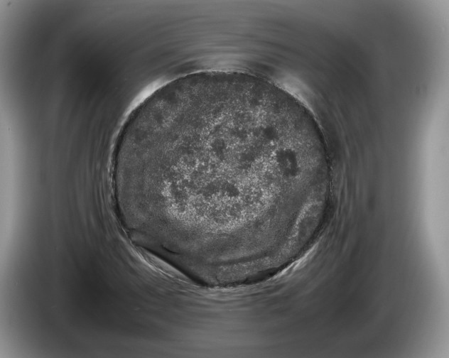 X0000086281071200704122043