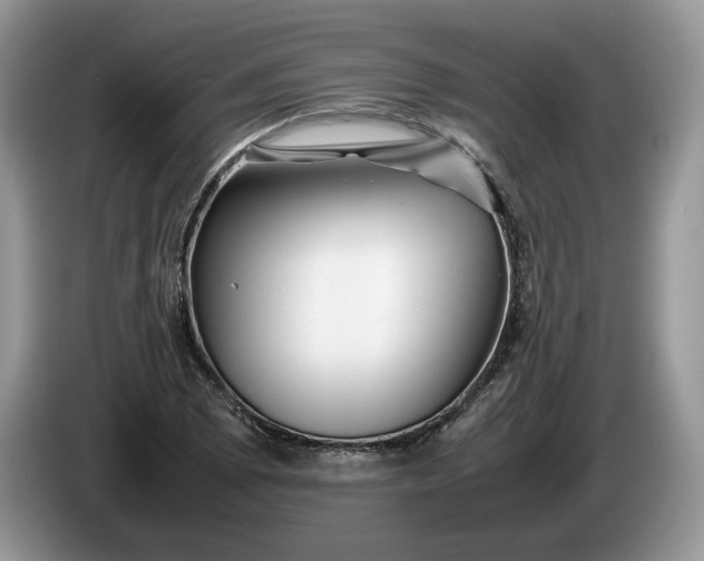 X0000086281073200704122043