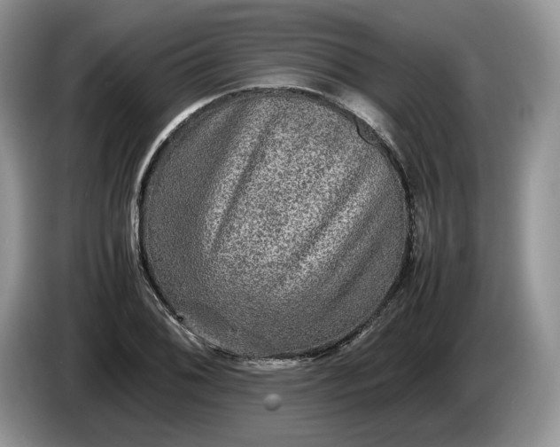 X0000086281076200704122043