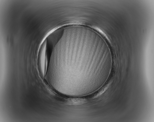 X0000086281077200704122043