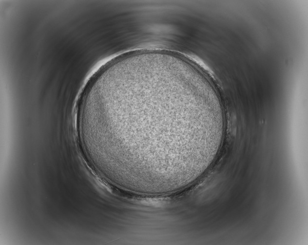 X0000086281078200704122043