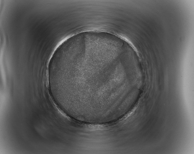 X0000086281079200704122043