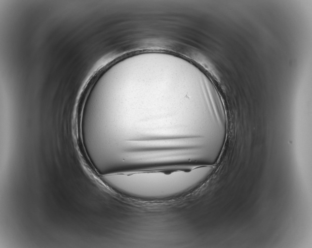 X0000086281080200704122043