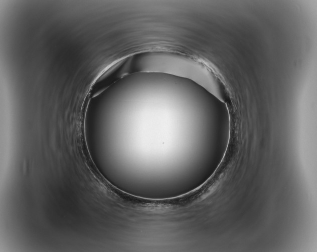 X0000086281081200704122043