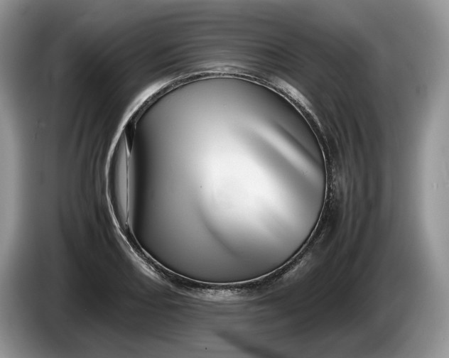 X0000086281082200704122043