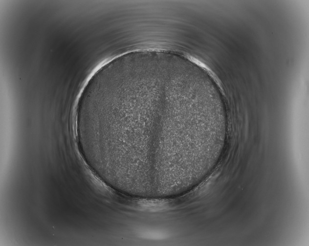 X0000086281083200704122043