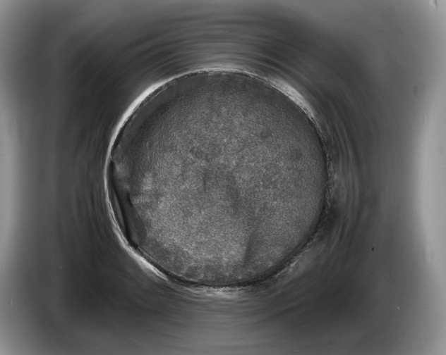 X0000086281084200704122043