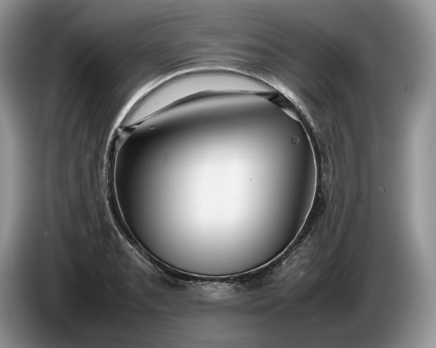 X0000086281085200704122043