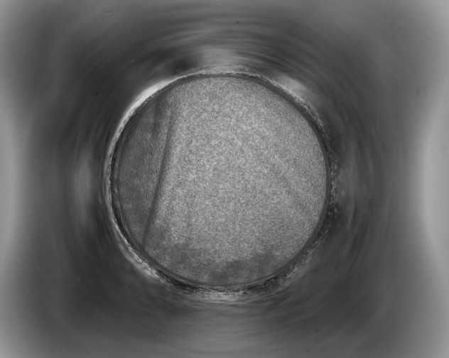 X0000086281086200704122043