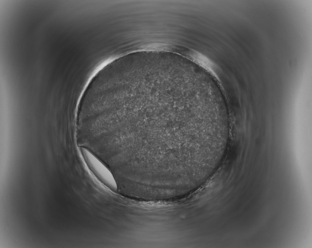 X0000086281087200704122043