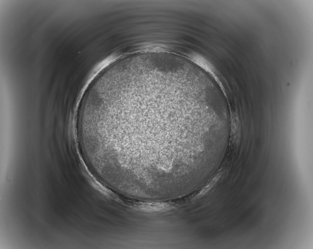 X0000086281090200704122043