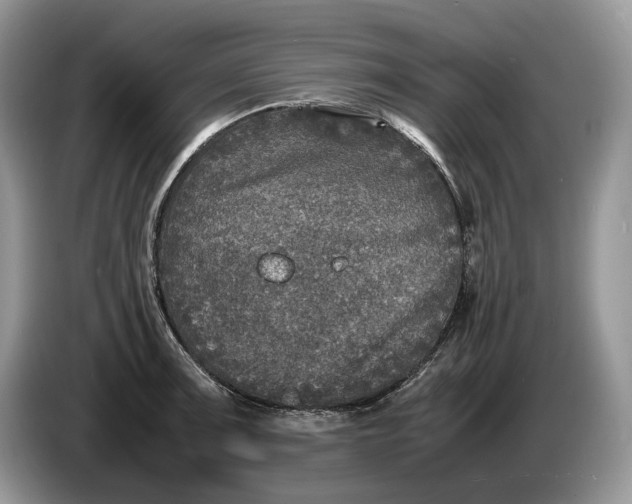 X0000086281091200704122043